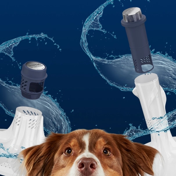 A closeup of the Pet Pro Filter with a dog in front