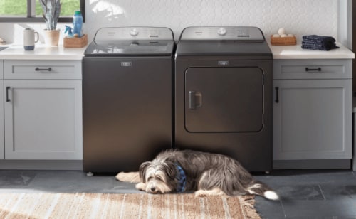 Shaggy dog laying on a rug in front of a grey washer and dryer