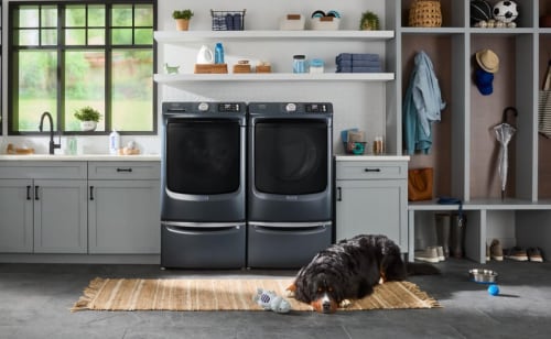  A dog lying down in a laundry room in front of a top load washer and dryer