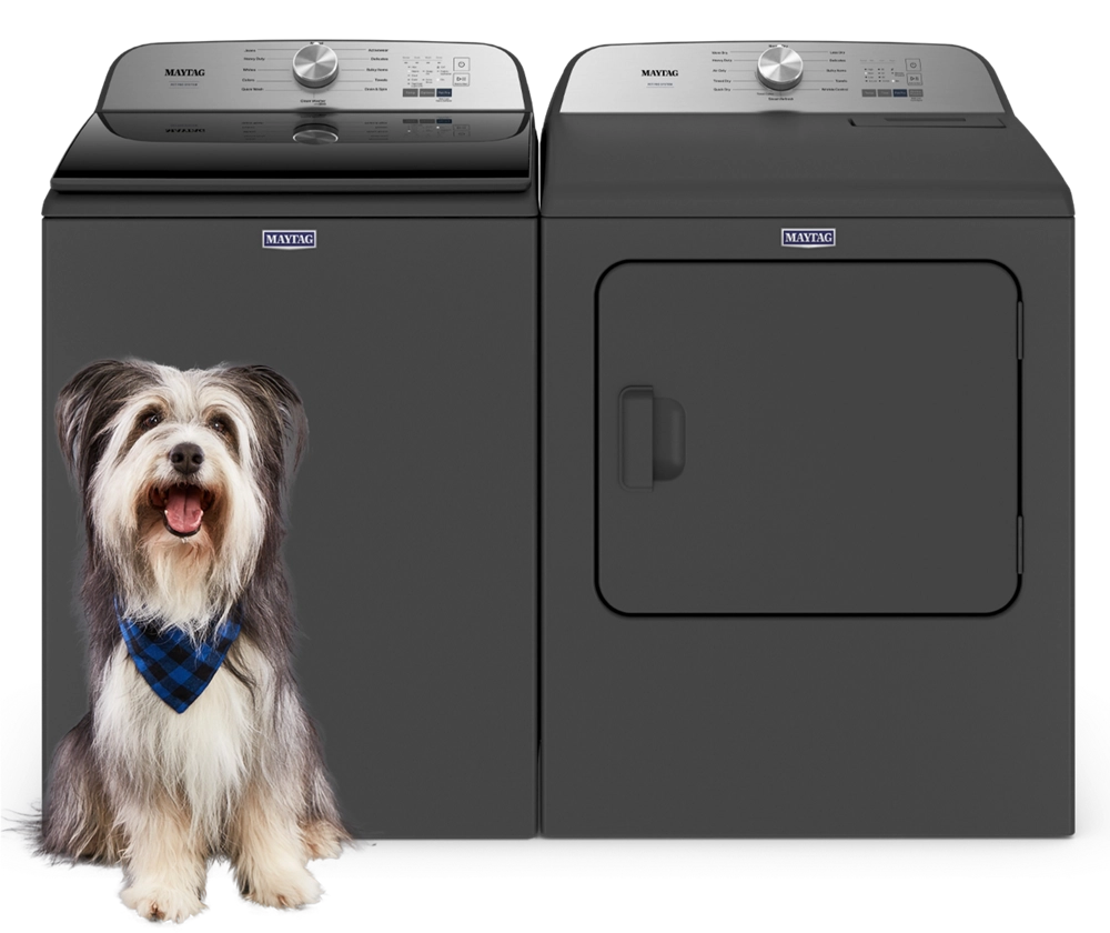 A furry dog in front of a Maytag® Pet Pro washer and dryer set.